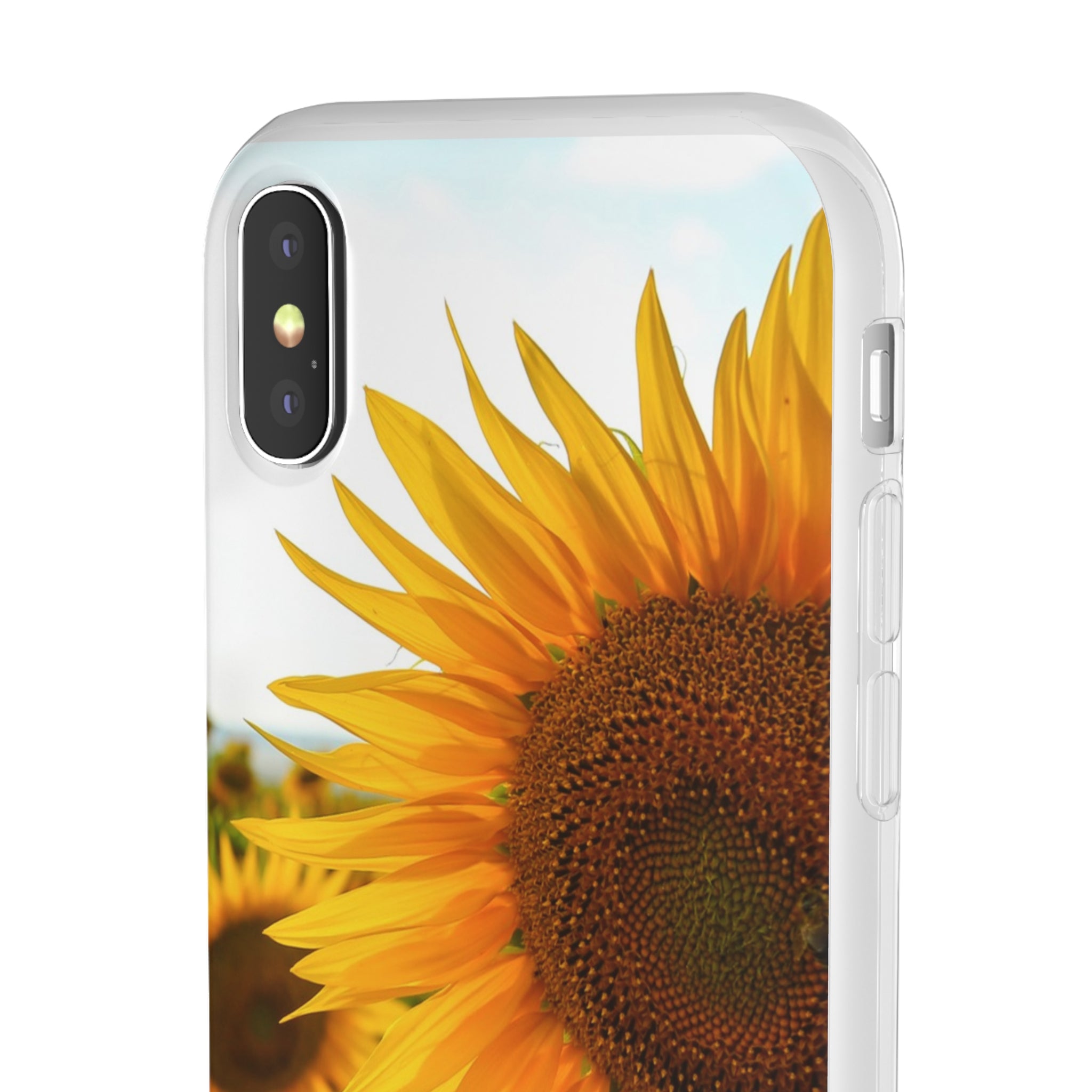 Sunflowers Flexi Clear Cases for Most Phone Types