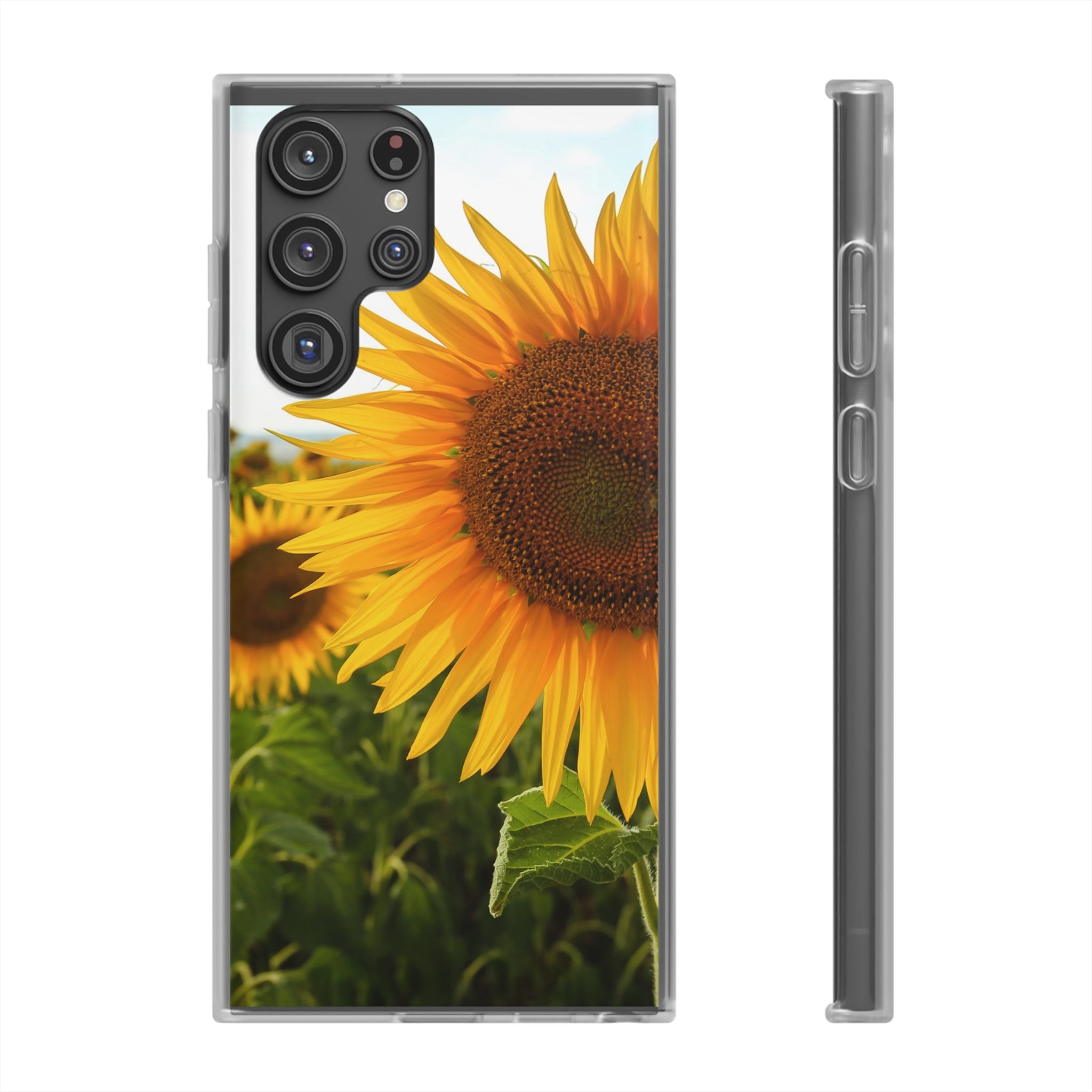 Sunflowers Flexi Clear Cases for Most Phone Types