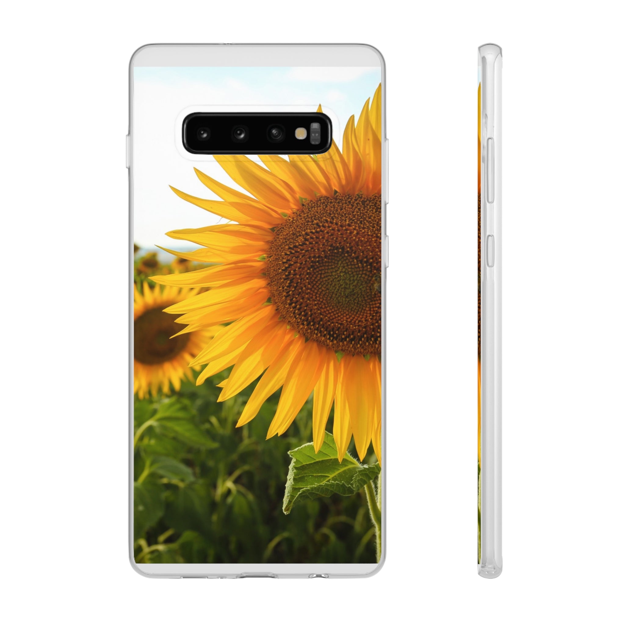 Sunflowers Flexi Clear Cases for Most Phone Types