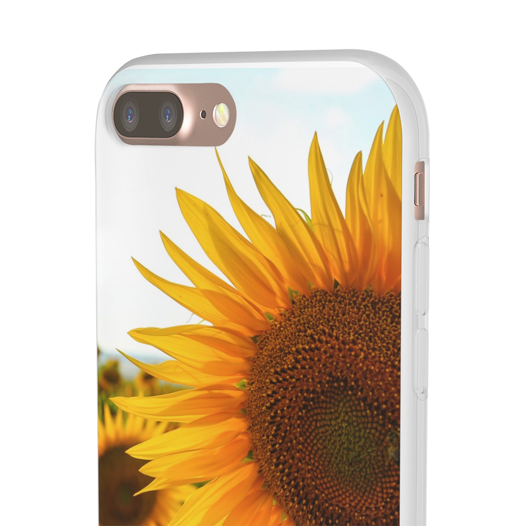 Sunflowers Flexi Clear Cases for Most Phone Types