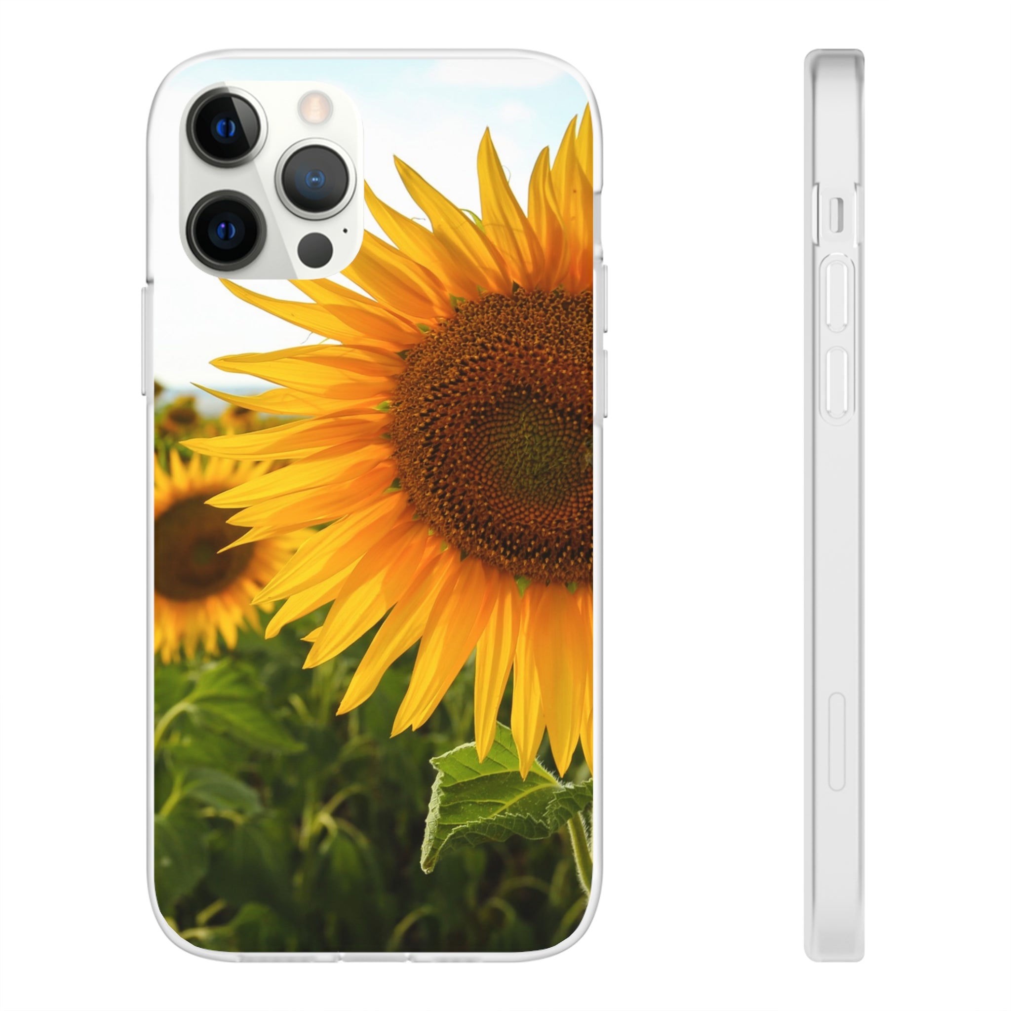 Sunflowers Flexi Clear Cases for Most Phone Types