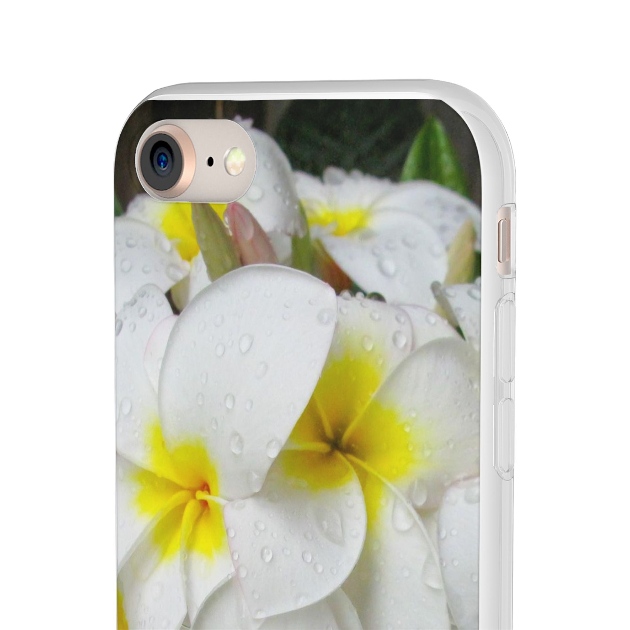 Fresh White Frangipanis Flexi Clear Cases for Most Phone Types (FWS)