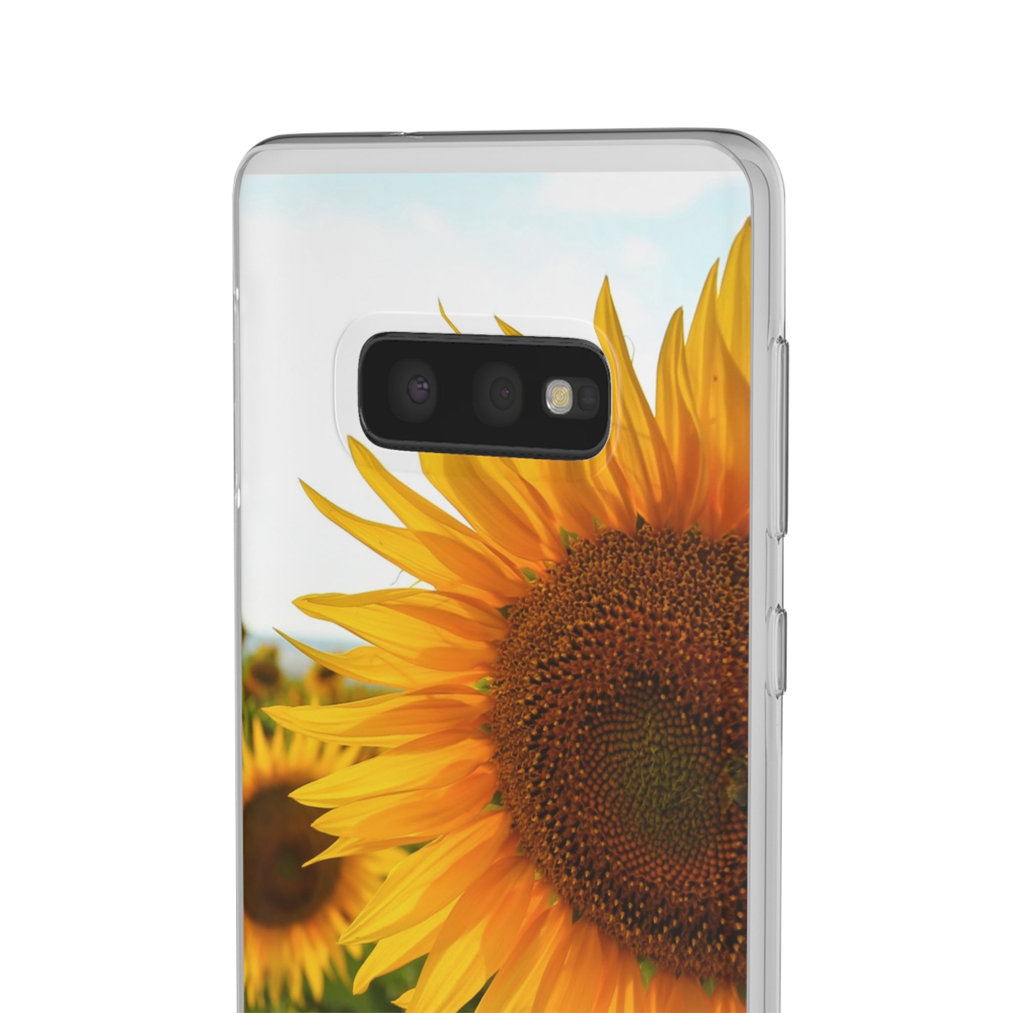 Sunflowers Flexi Clear Cases for Most Phone Types