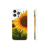 Sunflowers Flexi Clear Cases for Most Phone Types
