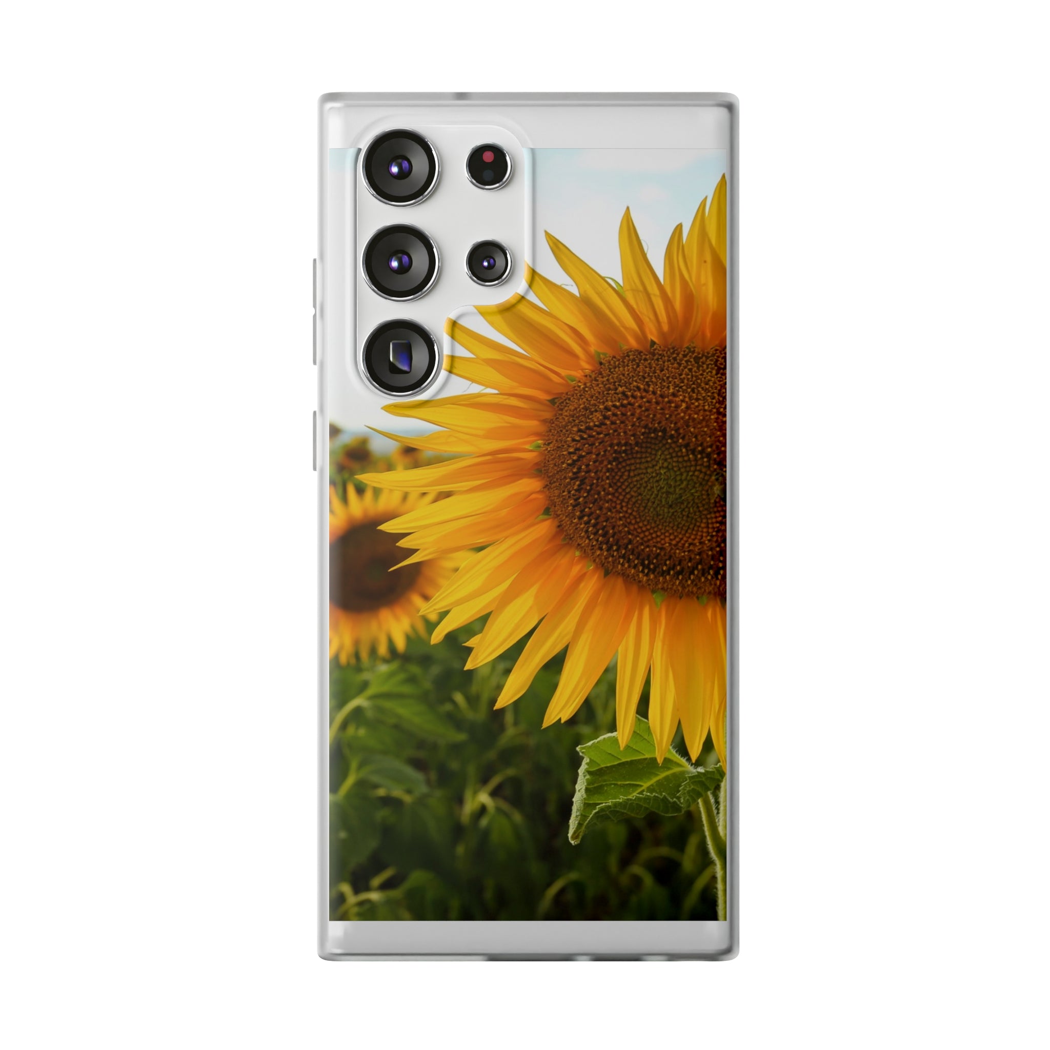 Sunflowers Flexi Clear Cases for Most Phone Types