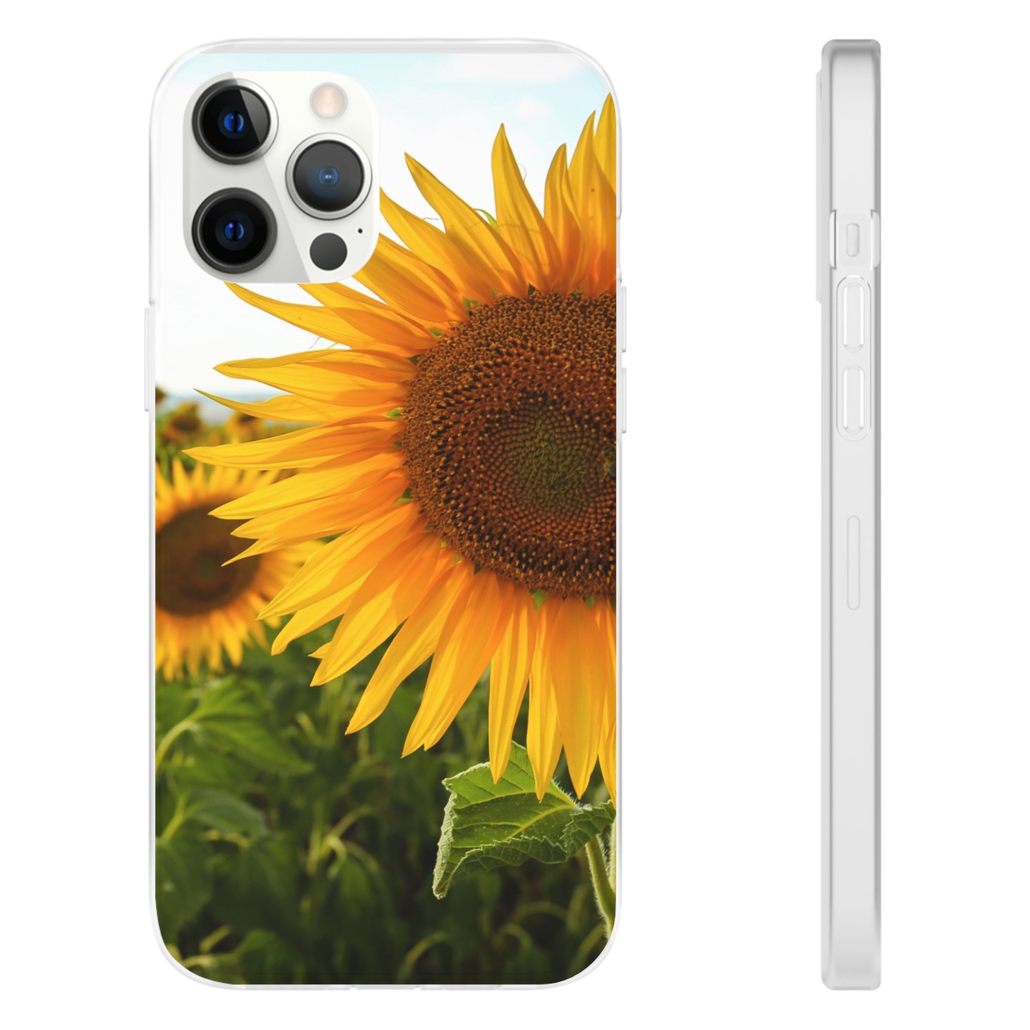 Sunflowers Flexi Clear Cases for Most Phone Types