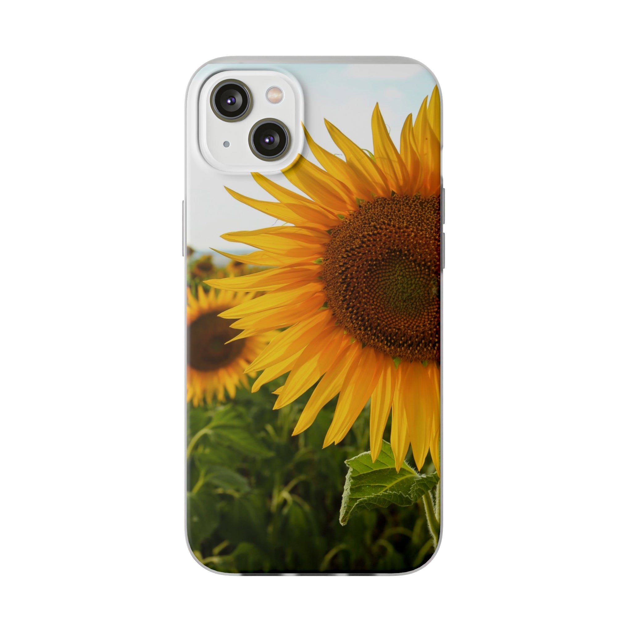 Sunflowers Flexi Clear Cases for Most Phone Types