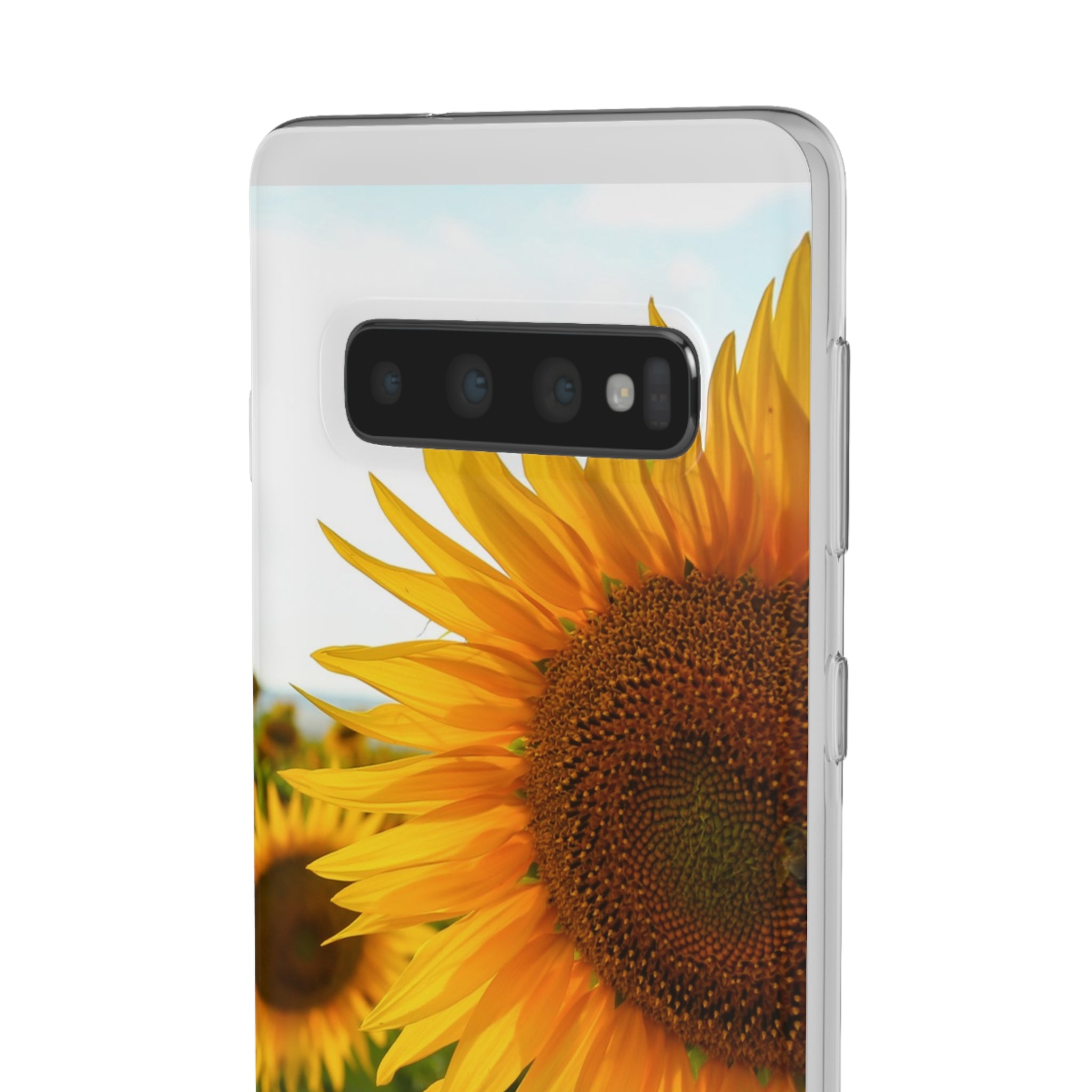 Sunflowers Flexi Clear Cases for Most Phone Types