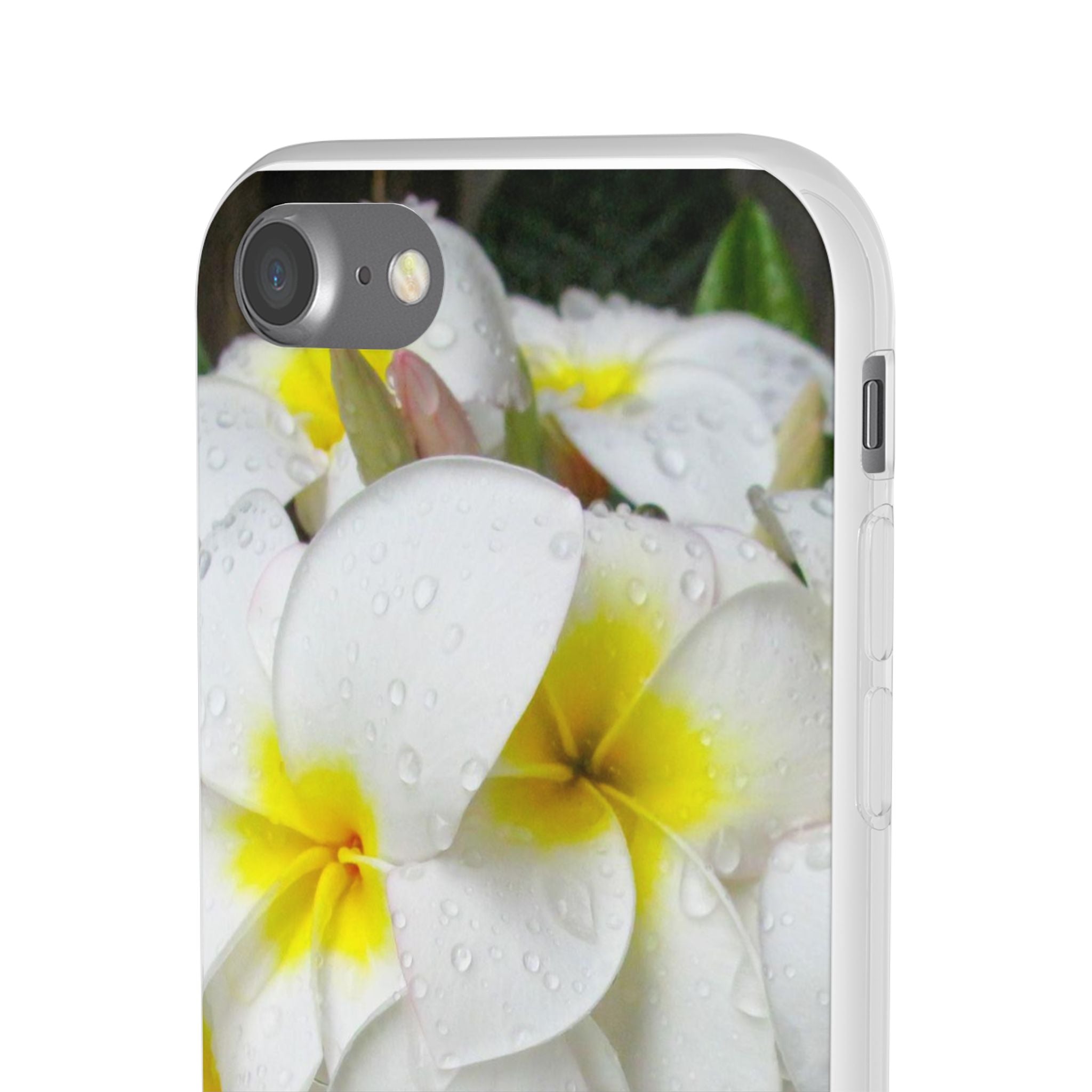 Fresh White Frangipanis Flexi Clear Cases for Most Phone Types (FWS)