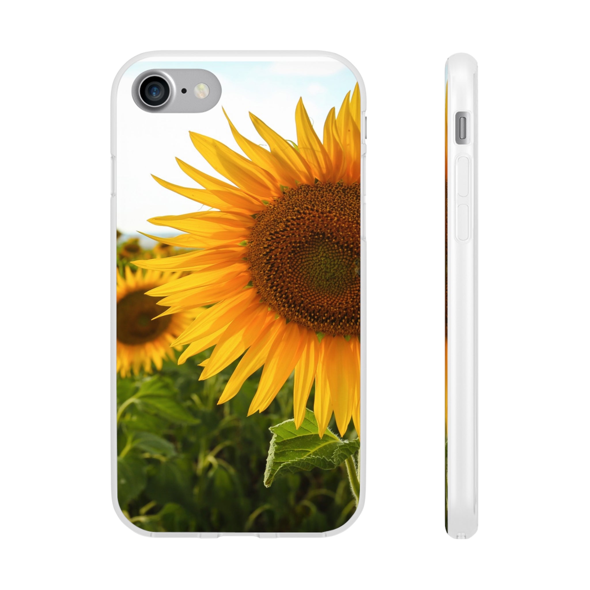 Sunflowers Flexi Clear Cases for Most Phone Types