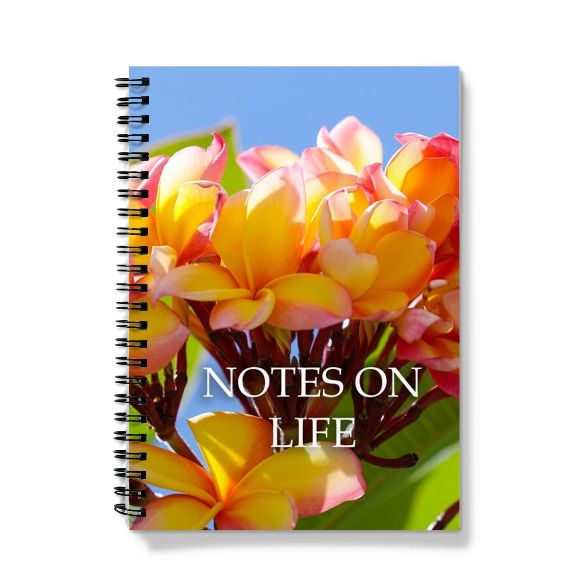 New Frangipani Sky A5 Lined Spiral Bound Notebook (FWS)