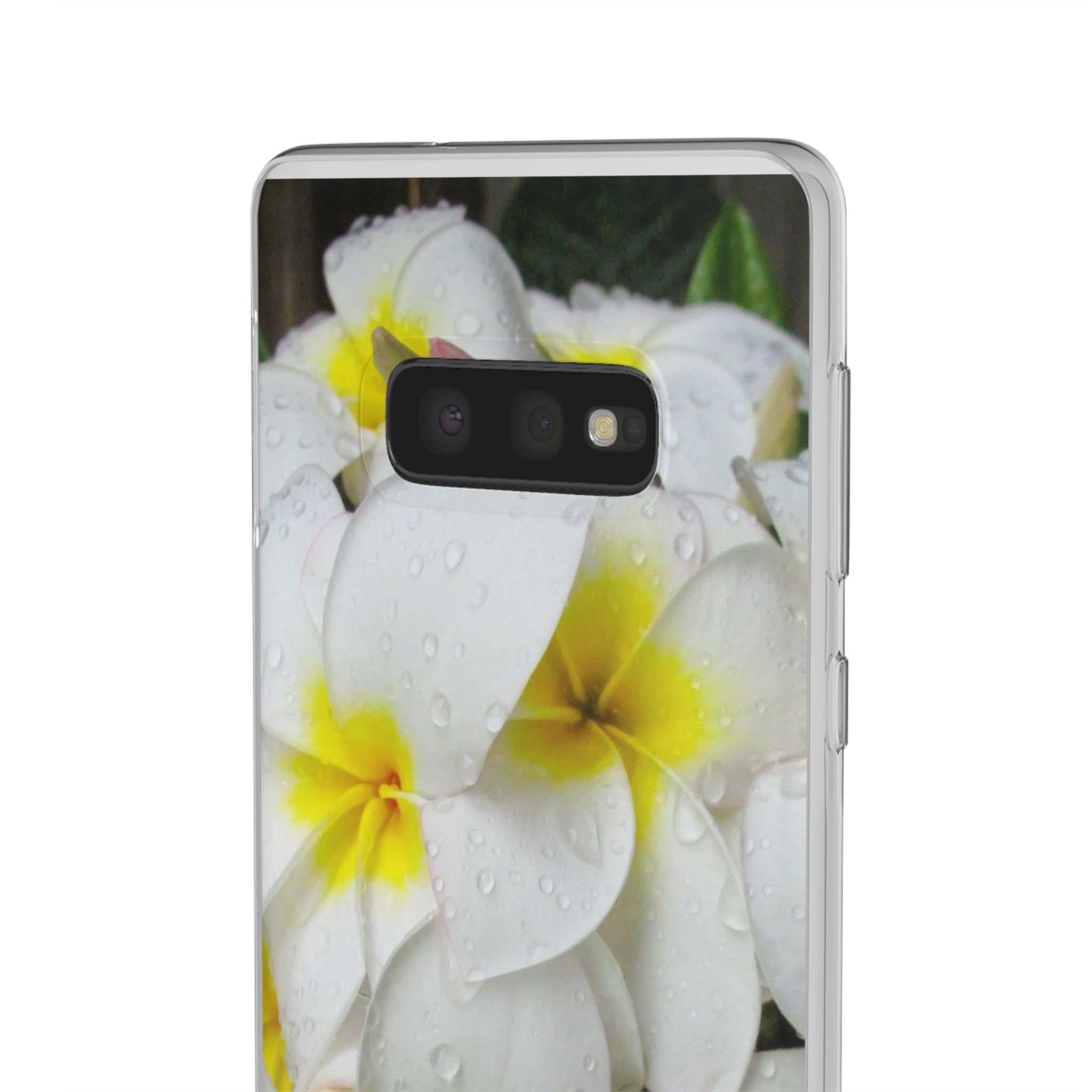 Fresh White Frangipanis Flexi Clear Cases for Most Phone Types (FWS)