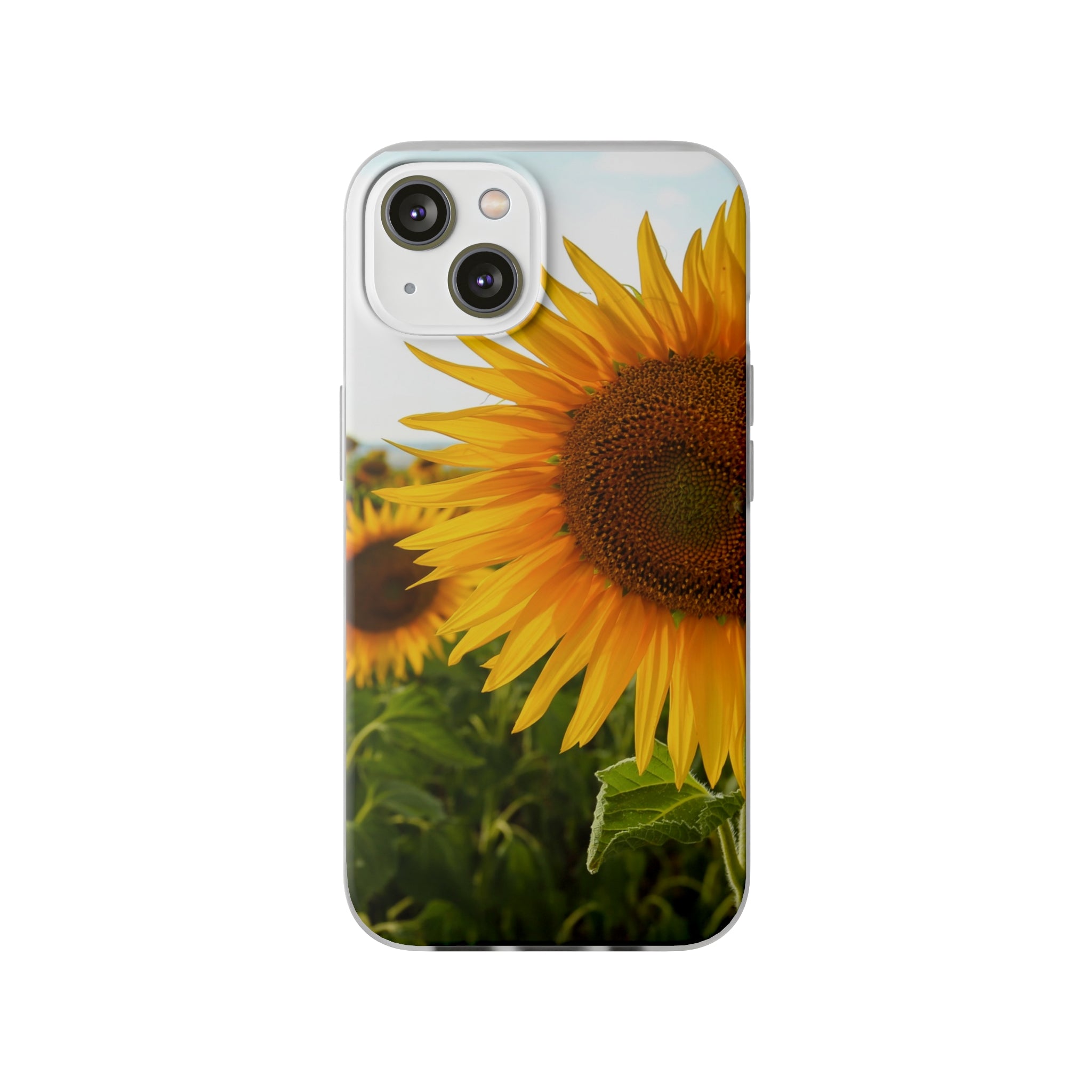 Sunflowers Flexi Clear Cases for Most Phone Types