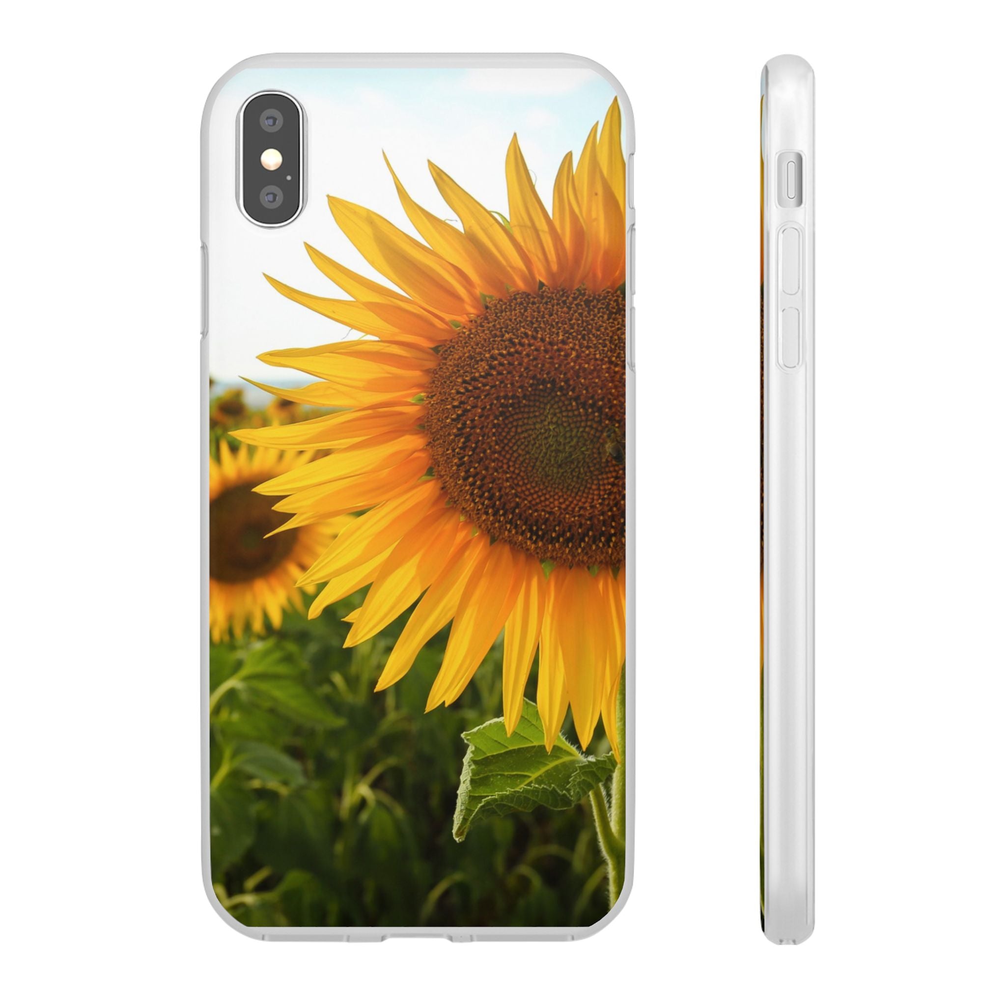 Sunflowers Flexi Clear Cases for Most Phone Types