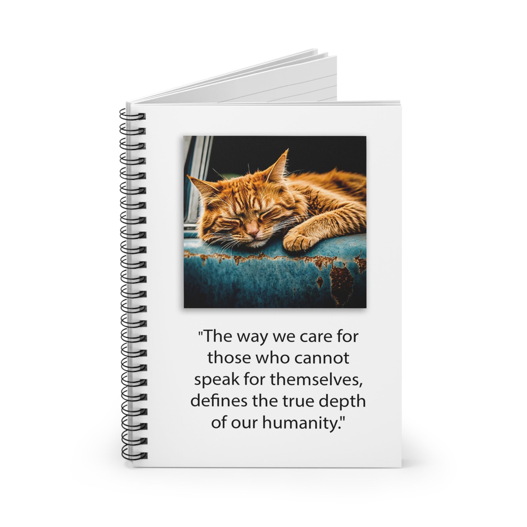 Ginger Cat Spiral Notebook A5 (FWS) 2