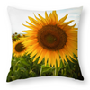 Sunflowers Short Plush Cushion Covers in 6 Sizes (FWS) 1
