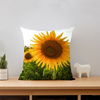 Sunflowers Short Plush Cushion Covers in 6 Sizes (FWS) 2