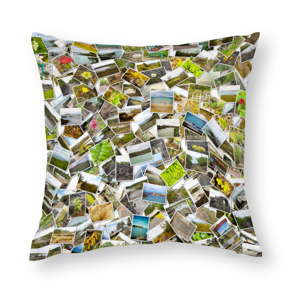 Rangitoto Island Multisize Zip Cushion Cover (FWS)