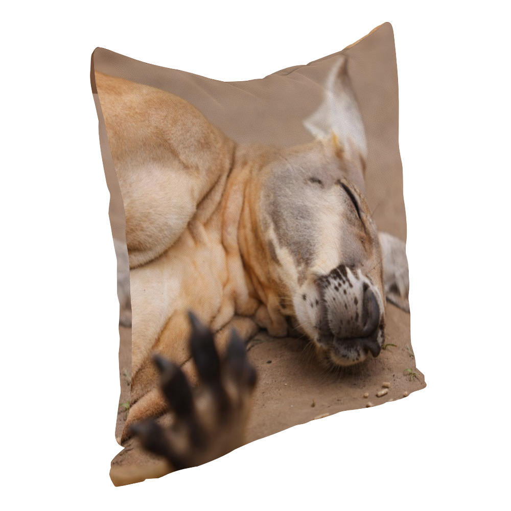 Sleeping Roo Multisize Zip Cushion Cover (FWS)