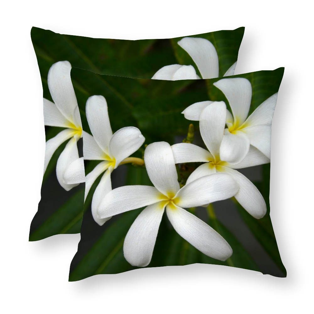 White Frangipanis Multisize Zip Cushion Cover (FWS)