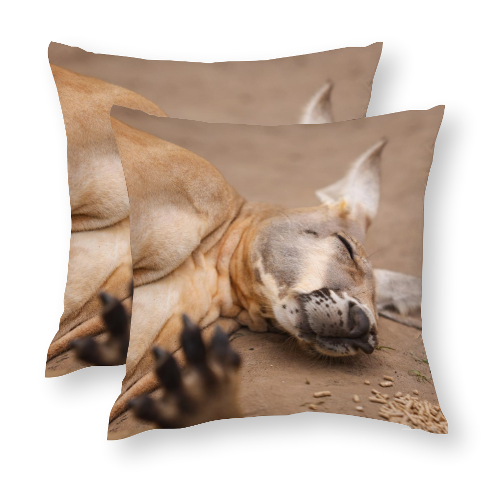 Sleeping Roo Multisize Zip Cushion Cover (FWS)