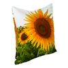 Sunflowers Multisize Zip Cushion Cover (FWS)