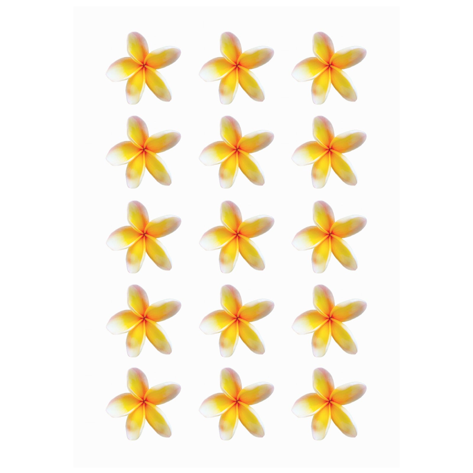 Yellow Frangipanis White Temp Tattoos Sheet