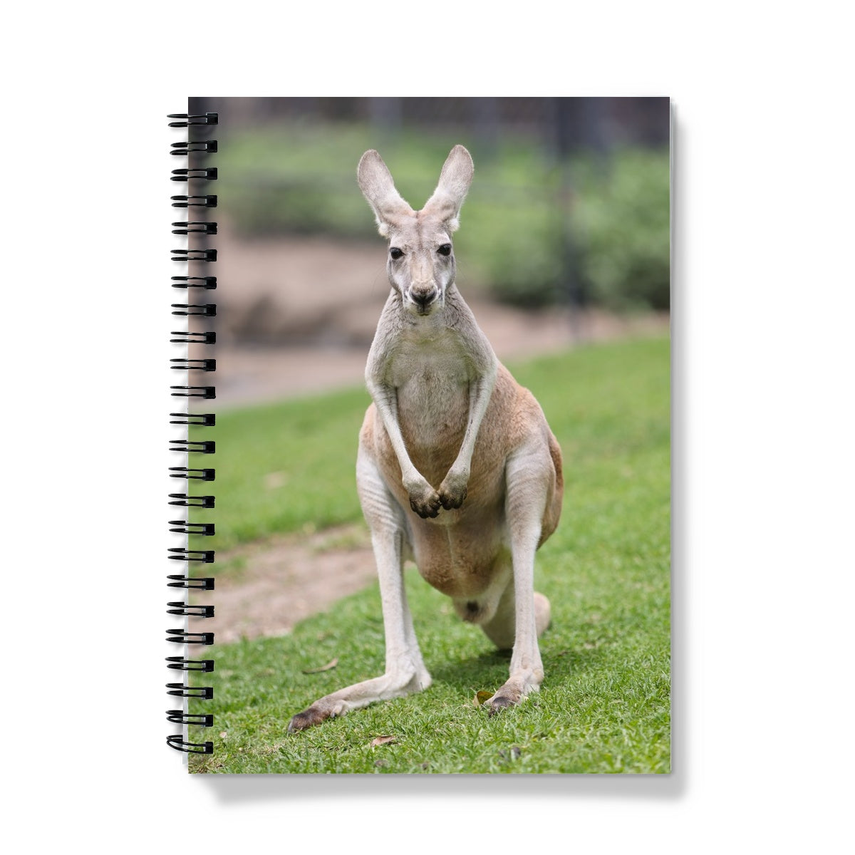 Grey Kangaroo A5 Lined Spiral Bound Notebook (FWS)