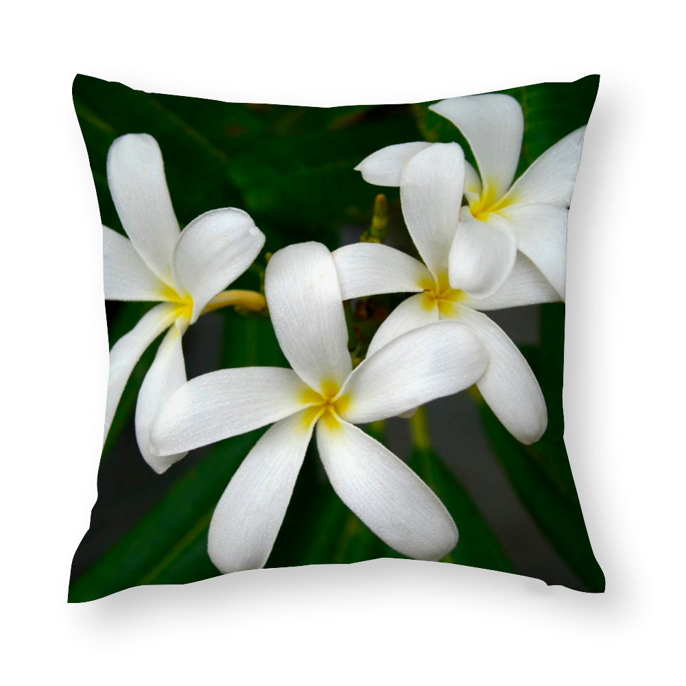 White Frangipanis Multisize Zip Cushion Cover (FWS)