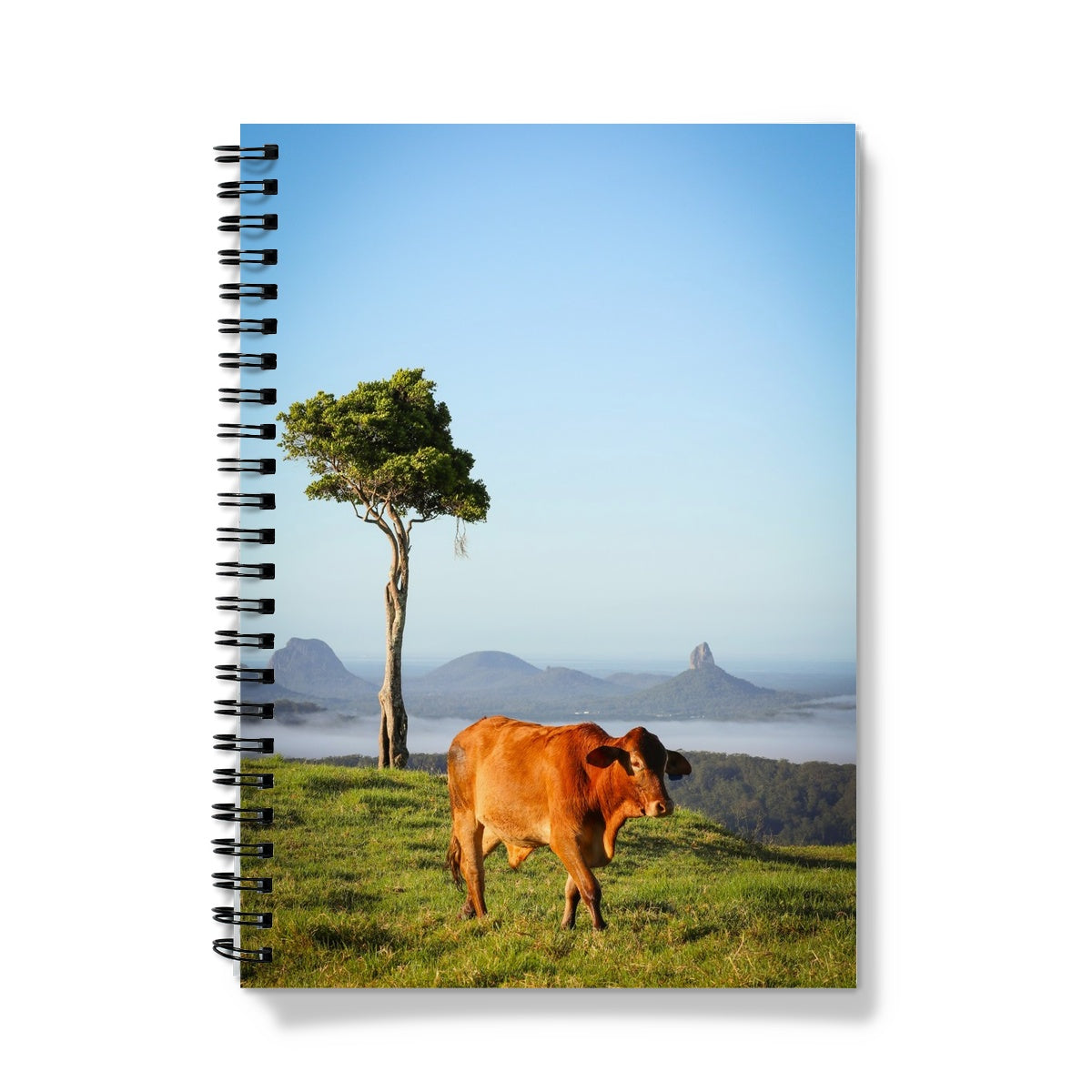 Cow with Mountains A5 Lined Spiral Bound Notebook (FWS)