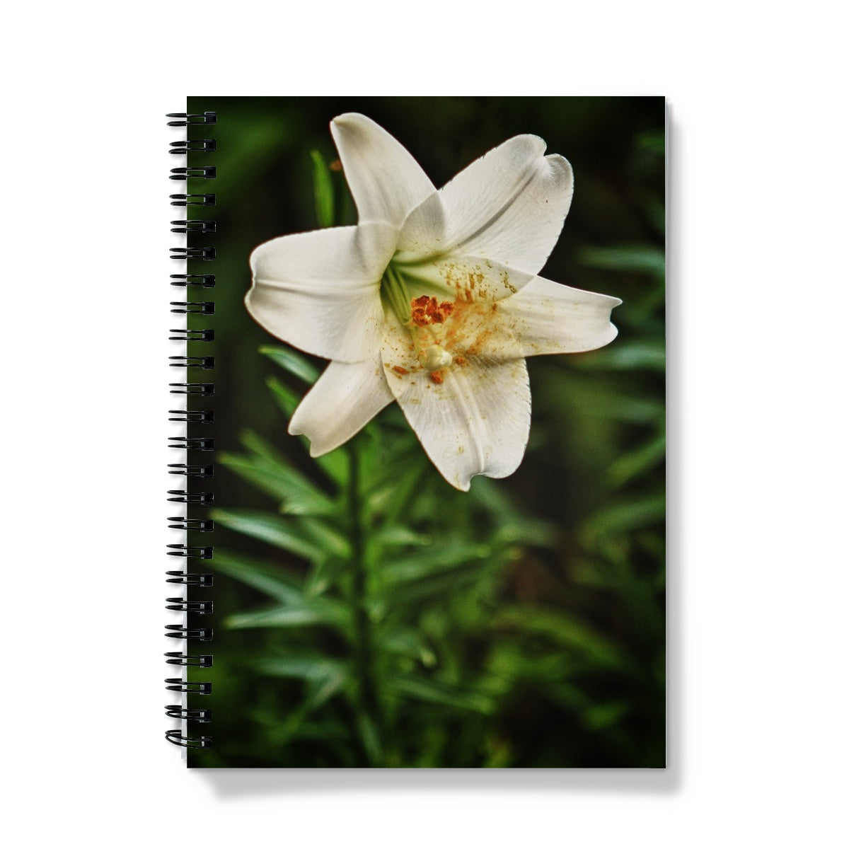 White Lily A5 Lined Spiral Bound Notebook (FWS)