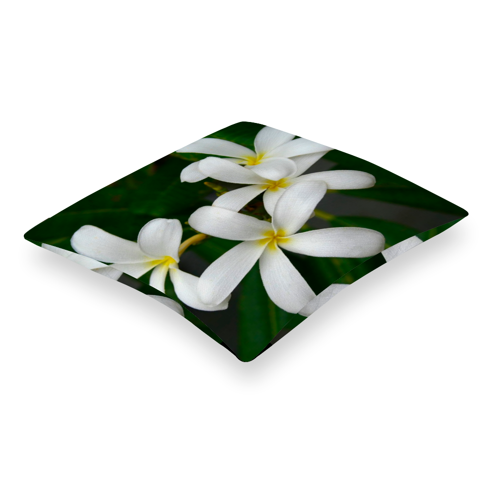 White Frangipanis Multisize Zip Cushion Cover (FWS)