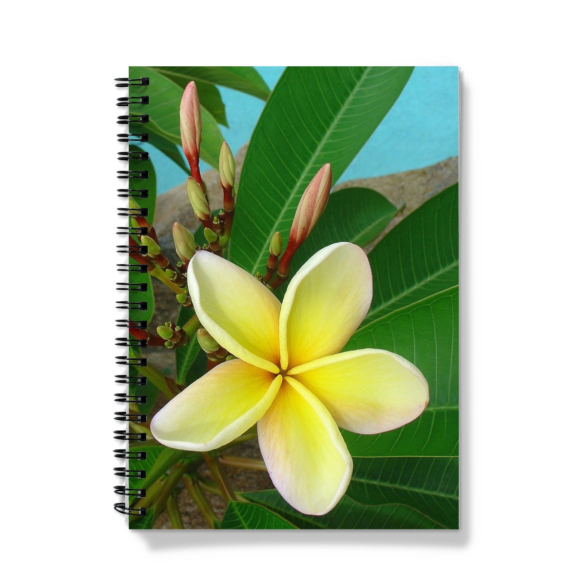 Yellow Frangipani Single A5 Lined Spiral Bound Notebook (FWS)