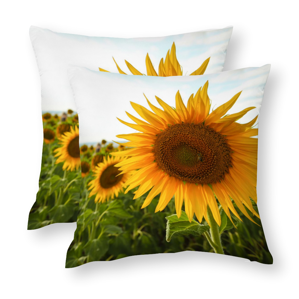 Sunflowers Multisize Zip Cushion Cover (FWS)