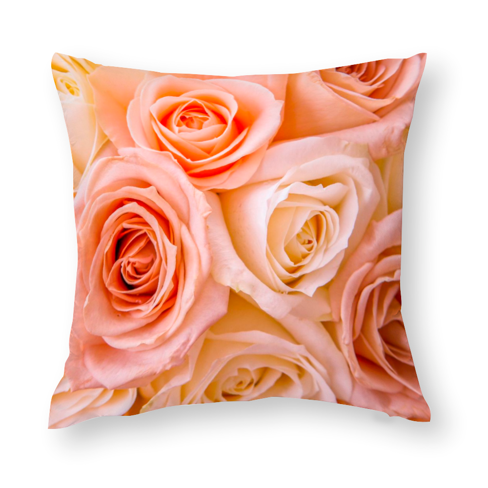 Pinky Roses Multisize Zip Cushion Cover (FWS)