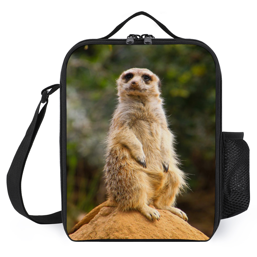 Meerkat Insulated Small Lunch Bag