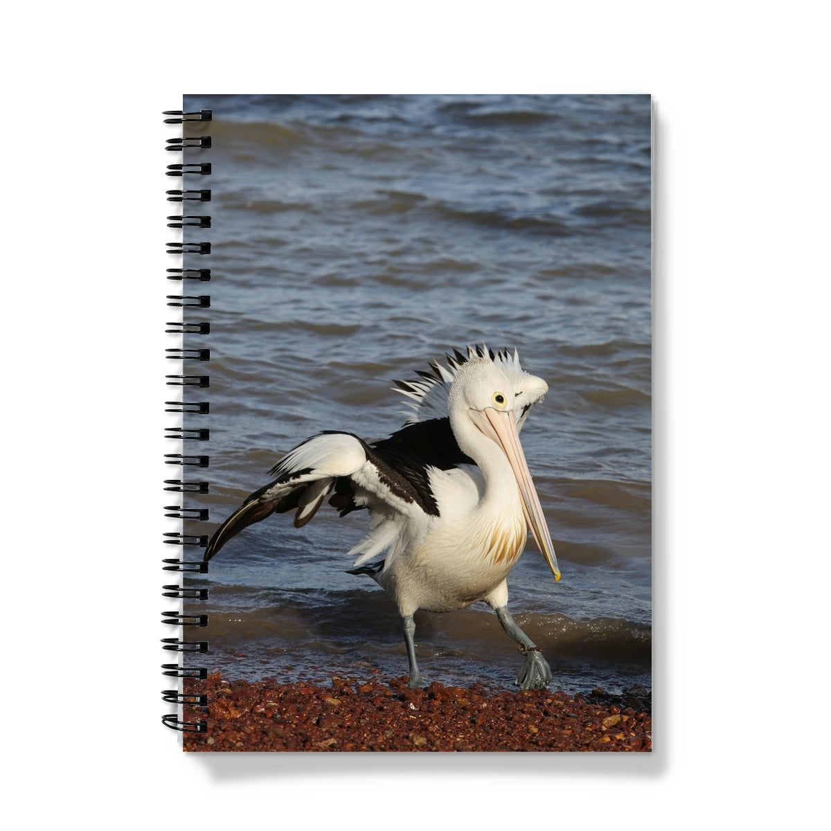 Pelican A5 Lined Spiral Bound Notebook (FWS)