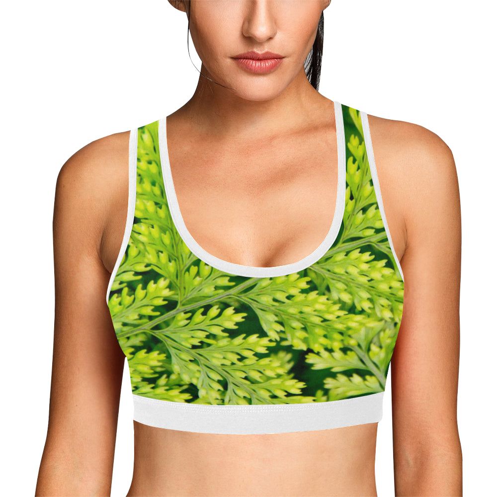 Green Fern Sports Top up to 3 XL