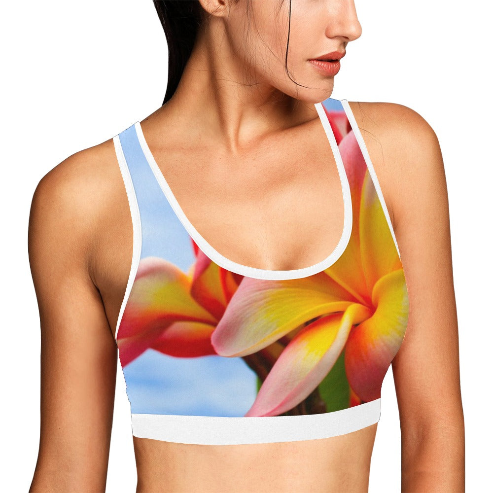 Frangipani Sky Sports Top up to 3 XL 1