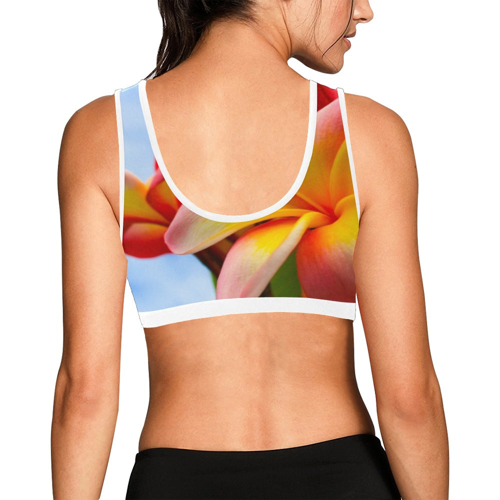 Frangipani Sky Sports Top up to 3 XL 4