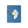 Single White Frangipani Mousepad (Made in Australia) 4