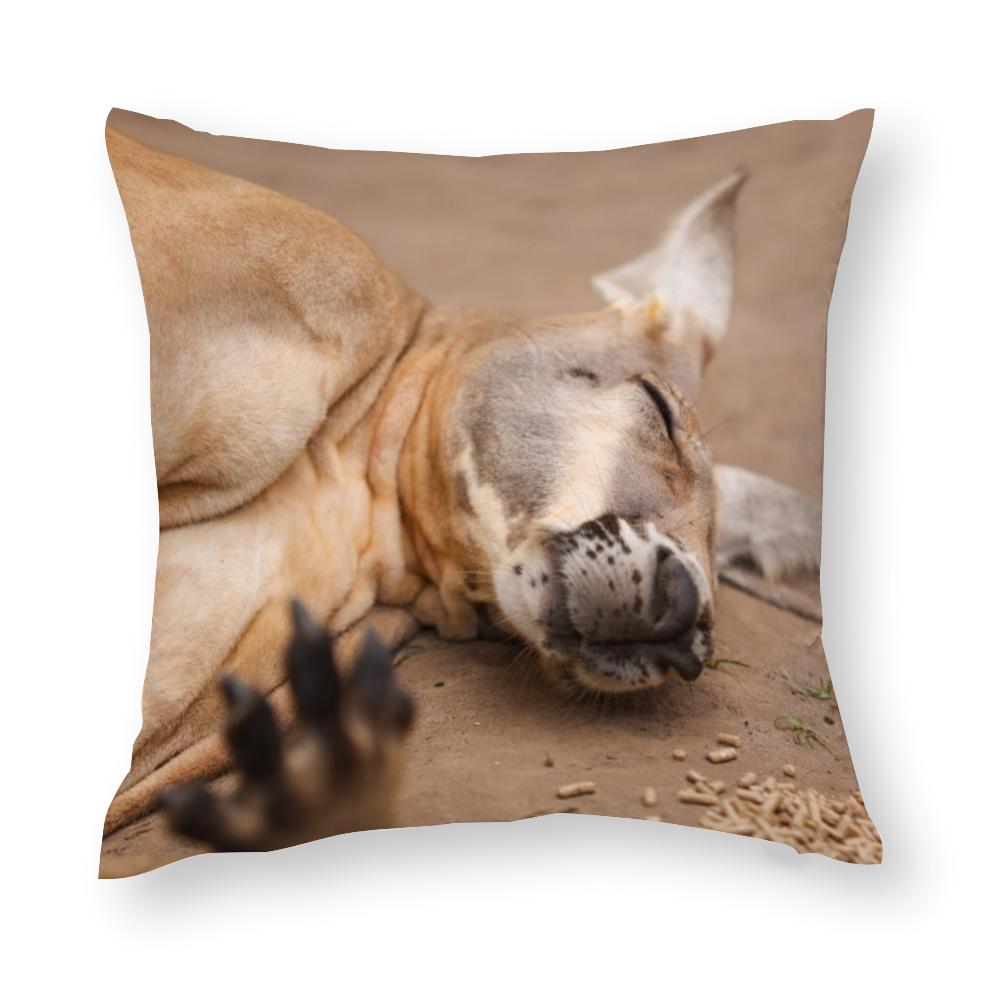 Sleeping Roo Multisize Zip Cushion Cover (FWS)