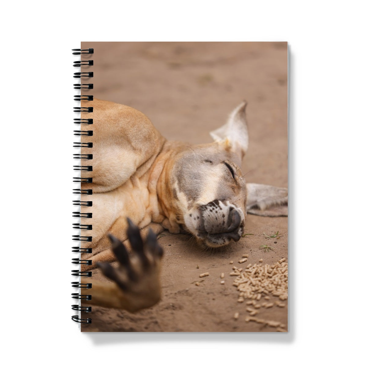 Big Red Kangaroo A5 Lined Spiral Bound Notebook (FWS)