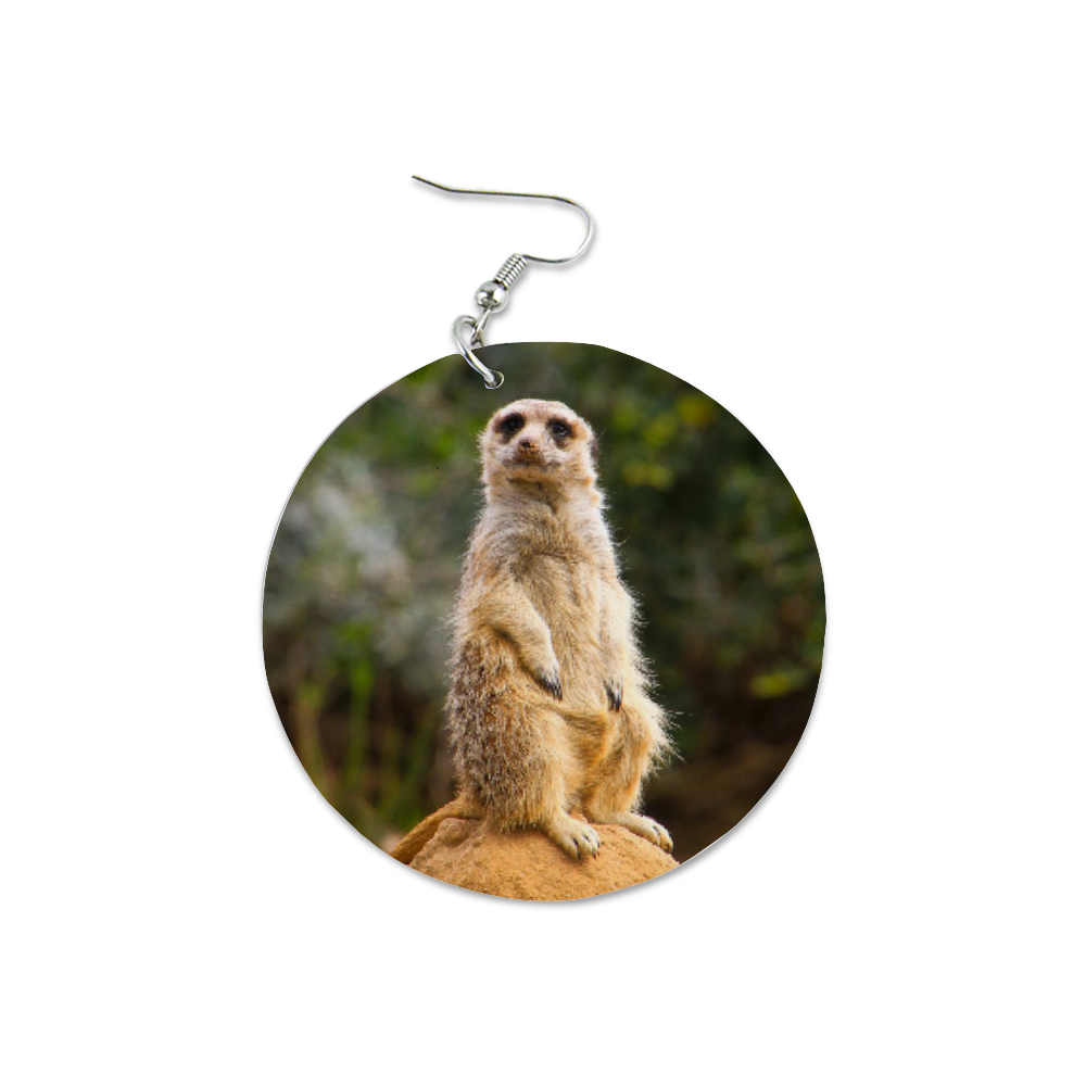 Meerkat Round Wooden Earrings