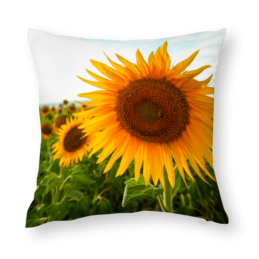 Sunflowers Multisize Zip Cushion Cover (FWS)