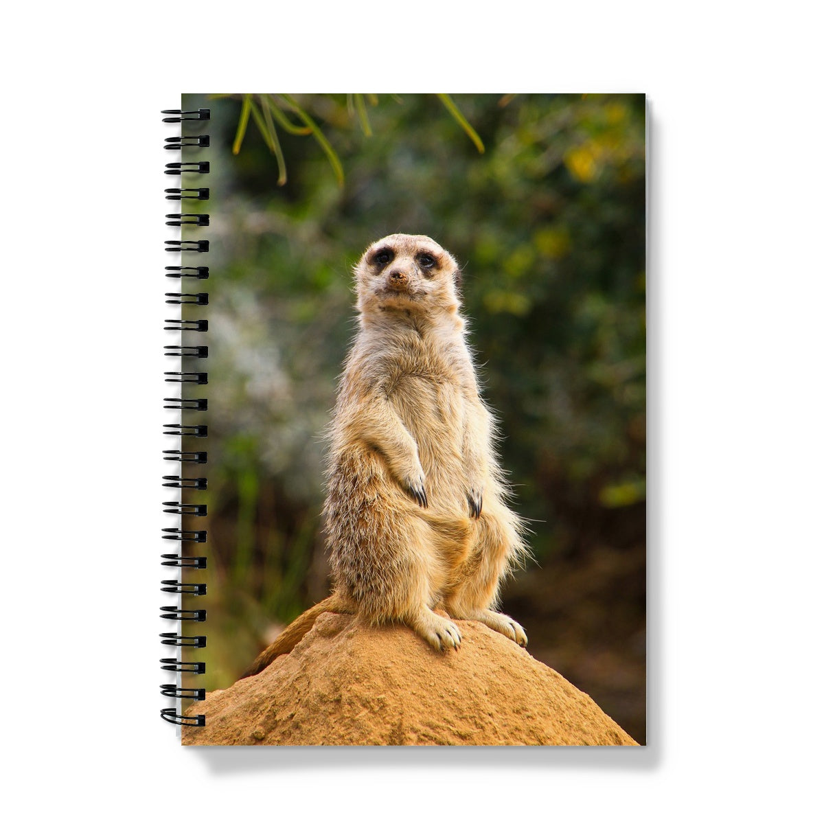 Meerkat A5 Lined Spiral Bound Notebook (FWS)