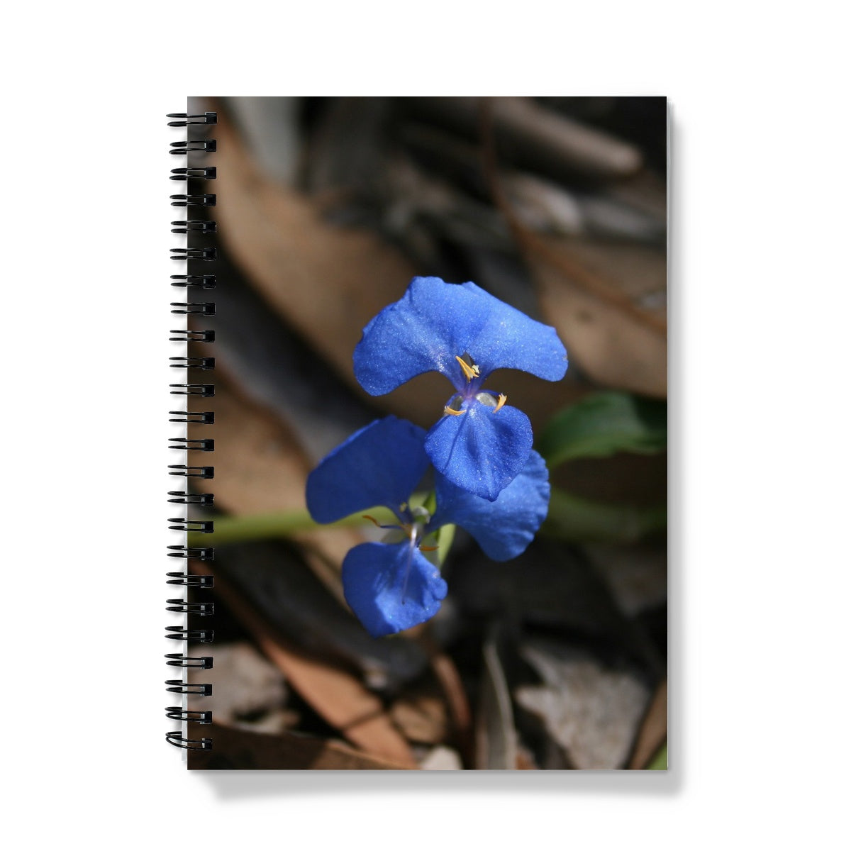 Blue Wildflower Notebook A5 Lined Spiral Bound (FWS)