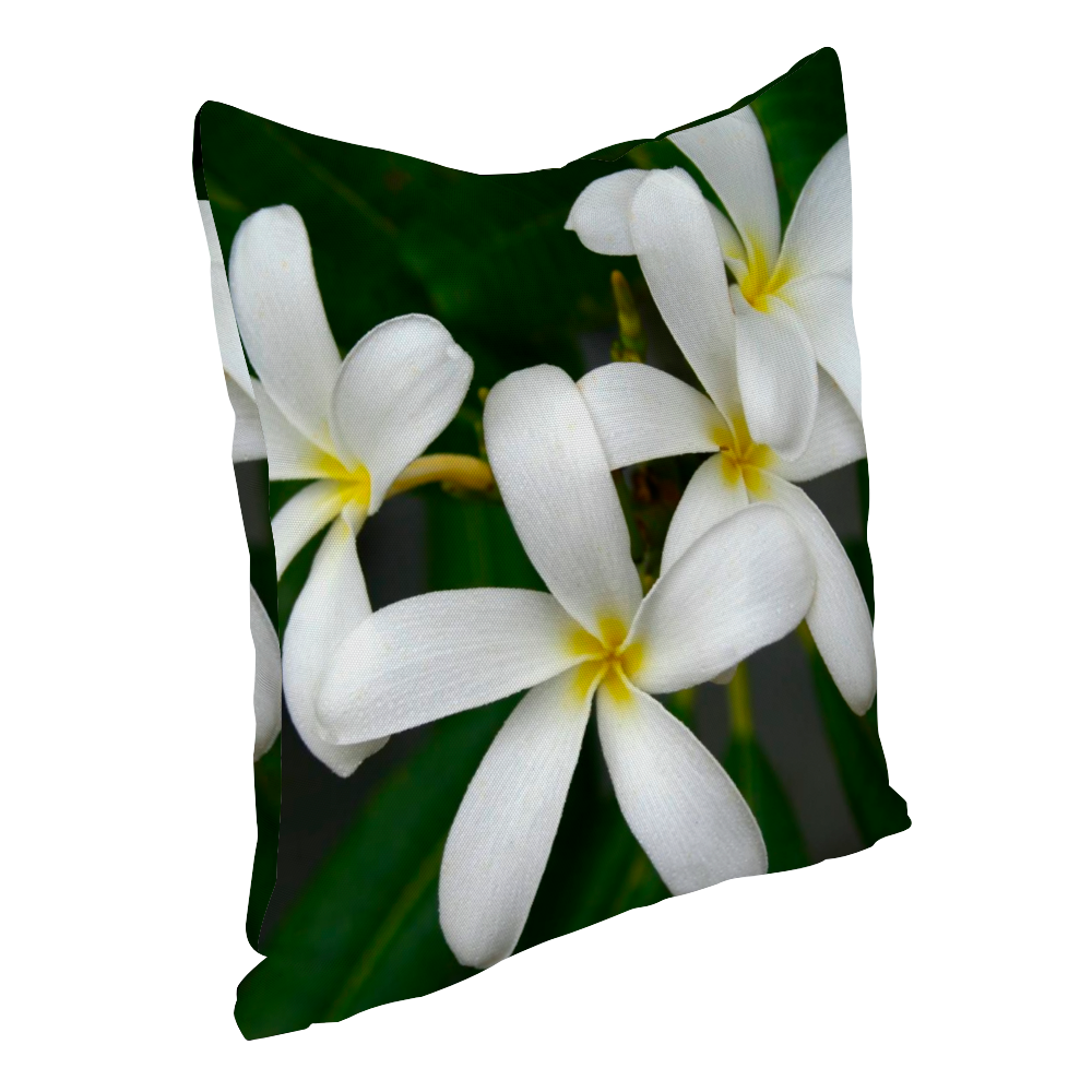 White Frangipanis Multisize Zip Cushion Cover (FWS)