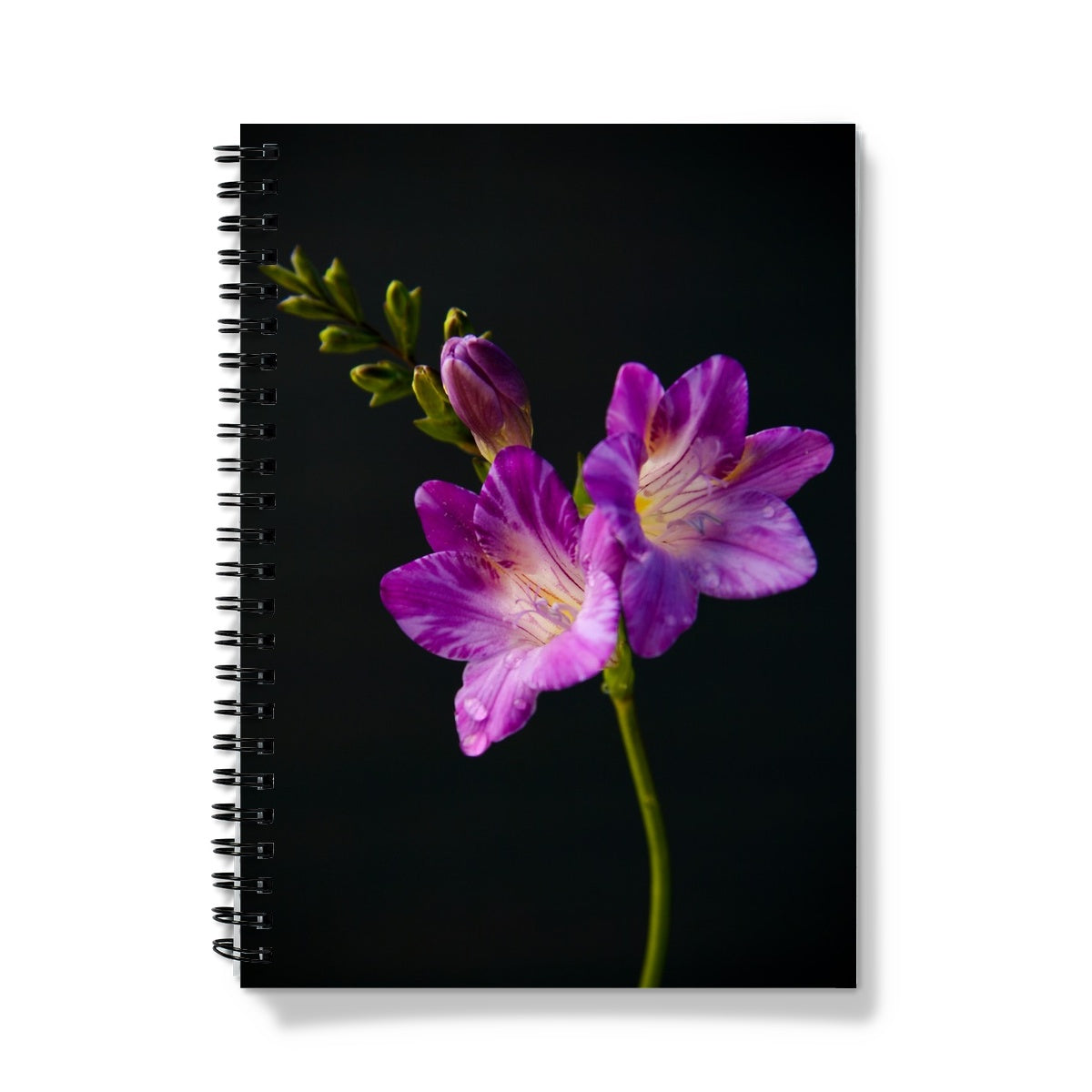 Purple Freesias A5 Lined Spiral Bound Notebook (FWS)